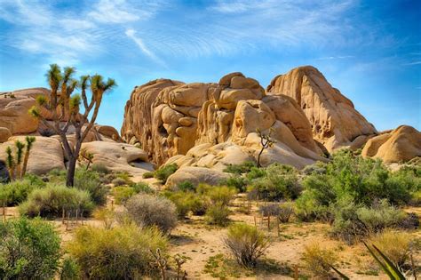 15 Best National Parks to Visit in March (+ Seasonal Tips)