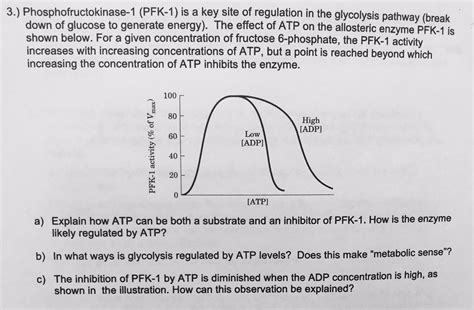 Solved Phosphofructokinase-1 (PFK-1) is a key site of | Chegg.com