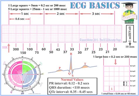 ECG Educator Blog : Basic Electrophysiology