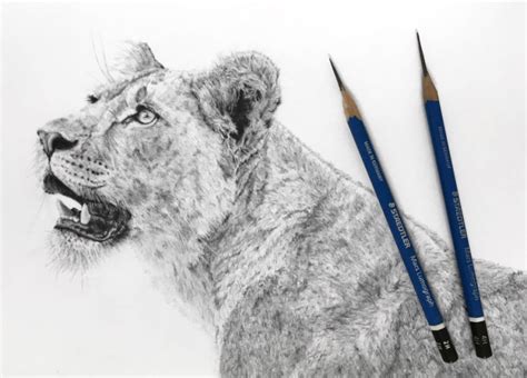 Realistic Pencil Drawing Gallery & Tutorials - Ran Art Blog