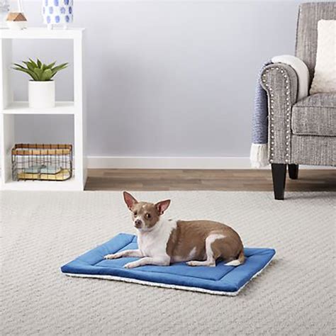 9 Best Heated Dog Beds for Winter | The Family Handyman