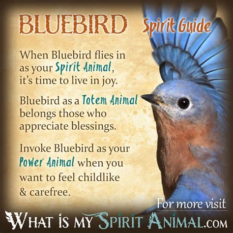 Bluebird symbolism meaning – Artofit