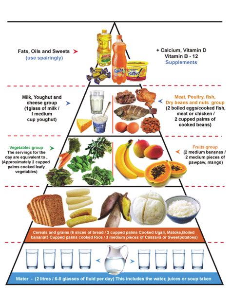 The food pyramid. (Source: Modified from the Food Guide Pyramid; Centre... | Download Scientific ...