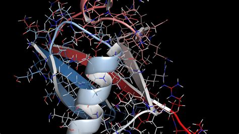 What is Peptide Mapping? - Rapid Novor