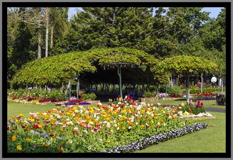 Toowoomba Flowers Garden-12= | Toowoomba Flowers Garden | Flickr