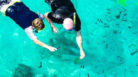 Glass-Bottom Boat & Snorkeling Cruise