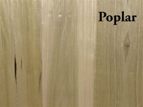 Poplar Hardwood Rough | Capitol City Lumber