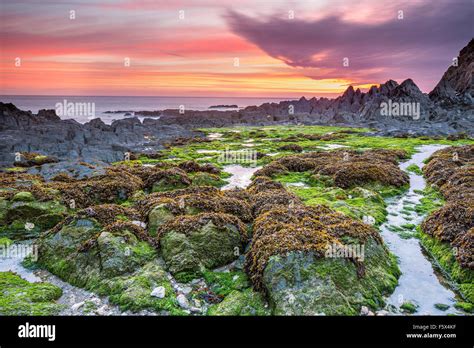 The Summer Solstice sunrise over Bennett's Mouth, Mortehoe, North Devon ...