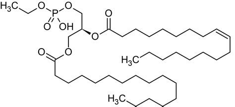 Phosphatidylethanol, Ethanol-induced PLD formed phospholipid (ab141765) | アブカム