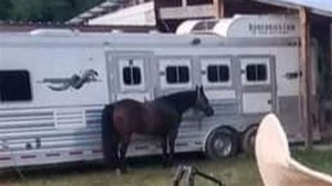 Muskogee County Sheriff's Office searches for stolen horse trailer