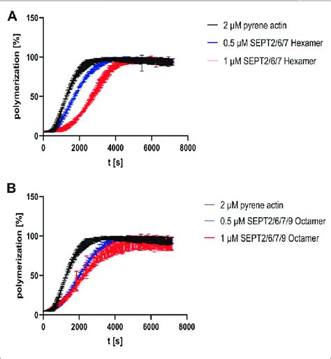 | Influence of human septin rods on actin polymerization. (A) Actin ...