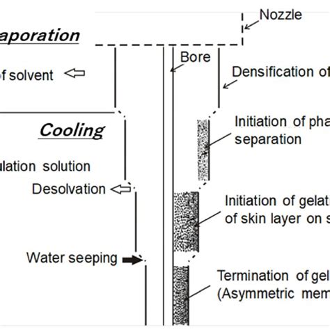 Structure of cellulose triacetate (CTA) reverse osmosis (RO) membrane... | Download Scientific ...