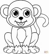 Cute Monkey coloring page  Free Printable Coloring Pages sketch template