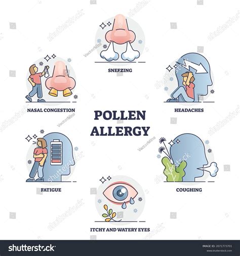 Pollen Allergy Symptoms Collection Molds Spores Stock Vector (Royalty ...