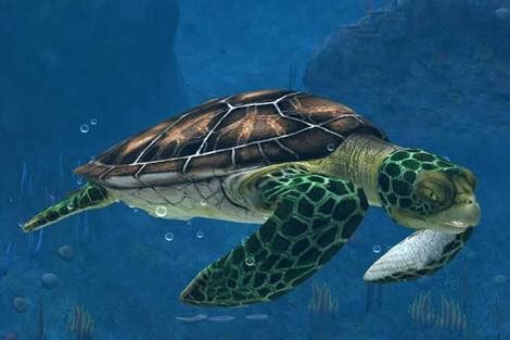 Creature Idea: Archelon | Ark Survival Evolved Amino