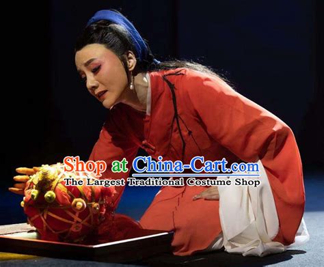 Chinese Huangmei Opera Xue Lang Gui Young Female Wang Baochuan Garment Costumes and Headpieces ...