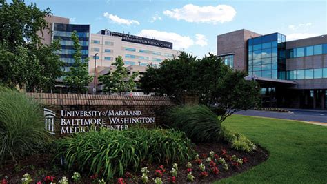 Spine and Neurosciences | UM Baltimore Washington Medical Center