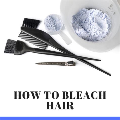 Can You Bleach Your Dogs Hair