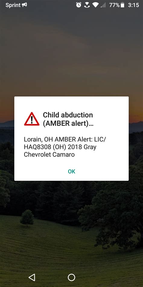 Just got this Amber Alert : r/Ohio