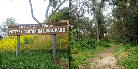 5 Scenic La Jolla Hikes That Aren't at Torrey Pines