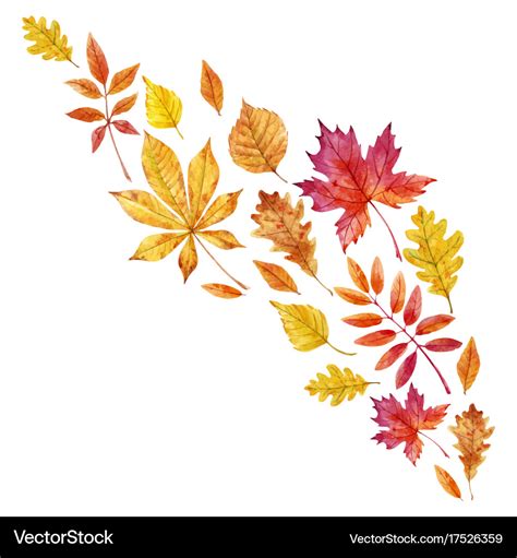 Watercolor fall leaves set Royalty Free Vector Image