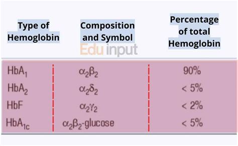 Types of Hemoglobin With Structure and Functions