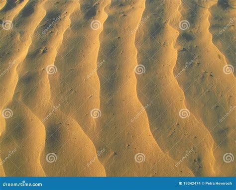 Sand Patterns in the Desert Stock Photo - Image of safari, contrast ...