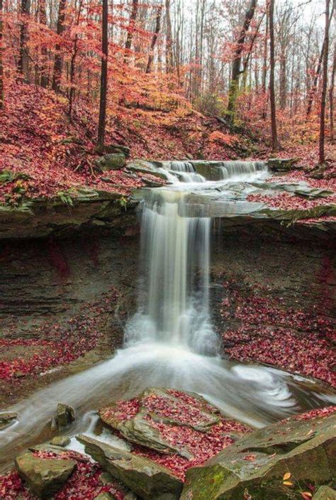 🔥 Waterfall in Autumn Woods : r/NatureIsFuckingLit