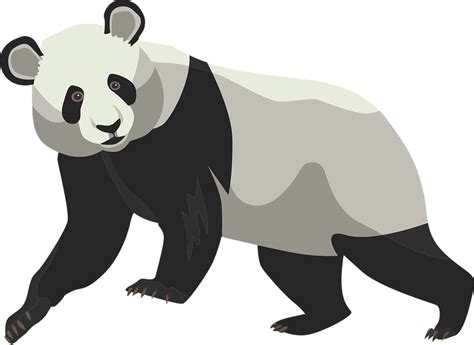 Introducir 112+ images oso panda dibujo para niños - Viaterra.mx