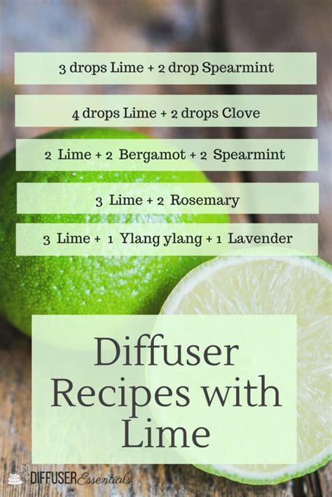 Diffuser Blends with Lime – Diffuser Essentials