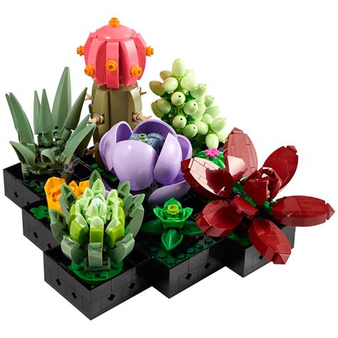 LEGO Icons Botanical Succulents 10309 | Costco Australia