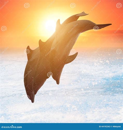 Group of jumping dolphins stock image. Image of jumping - 44192363