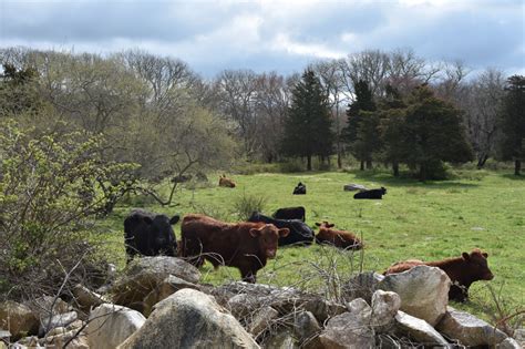 Photos - Round the Bend Farm