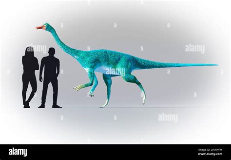 Gallimimus Size