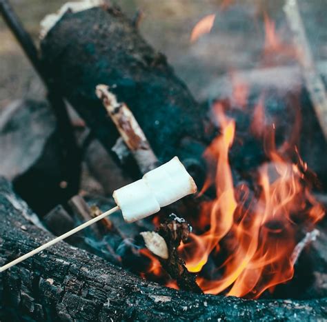 Premium Photo | Marshmallow on a stick over the fire cooking ...