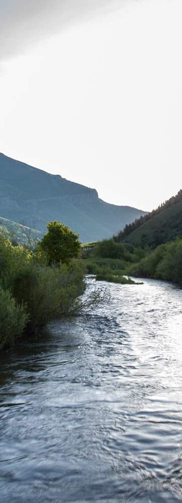 Fishing The Logan River, Utah [Reports & Info] | Visit Utah