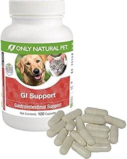 Best Probiotics For Dogs With Ibd - 10Reviewz