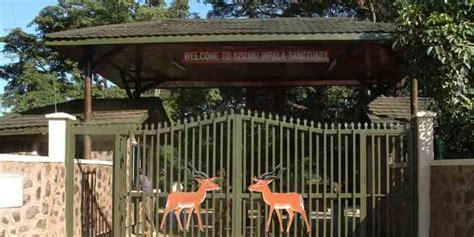 Kisumu Impala Sanctuary Park Entrance Charges 2024