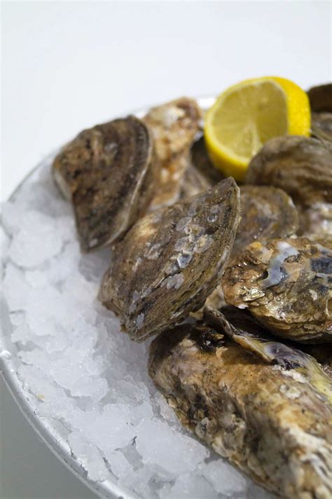 Blue Point Oysters