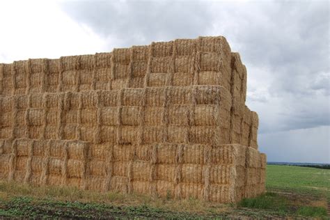 Large Square Hay Bales Free Stock Photo - Public Domain Pictures