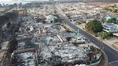 Did The Safeway in Lahaina burn down? Status of businesses affected by Maui wildfires explored