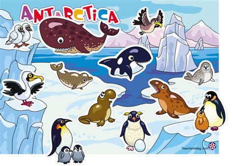 Antarctica Cut and Paste Landscape. TeachersMag.com