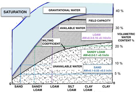 Importance Of Water Holding Capacity