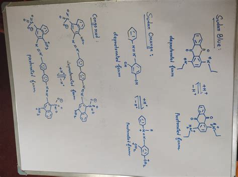 [Solved] Draw an acid-base equilibrium showing protonation ...