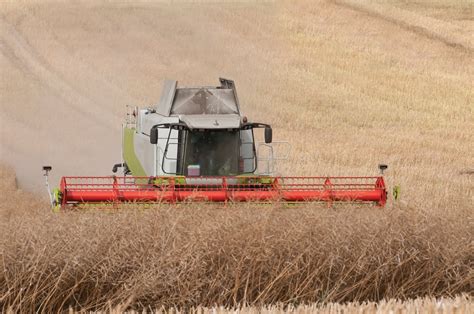 Straight-cutting canola growers urged to be patient on desiccant spray ...