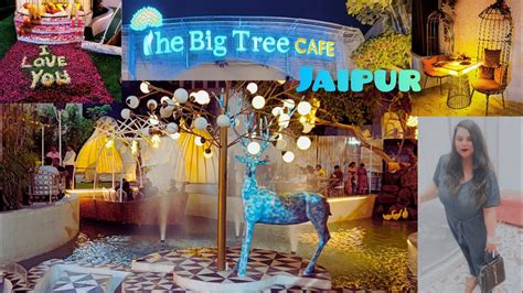 The Big Tree Cafe Jaipur |Ajmer Road |Most Happening Cafe in Jaipur!# ...