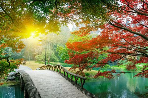 118,600+ China Bridge Stock Photos, Pictures & Royalty-Free Images - iStock