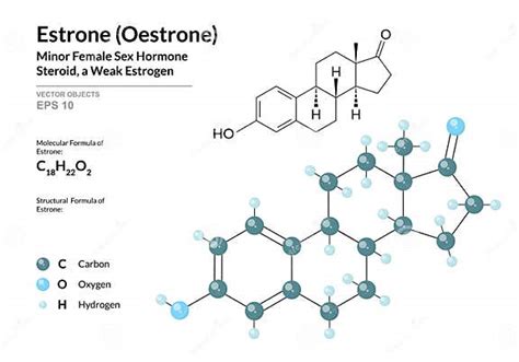 Hormone Estrone Oestrone. Structural Chemical Formula and Molecule 3d ...