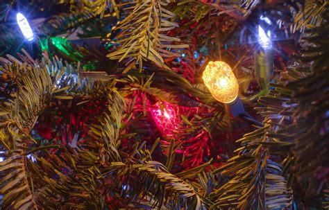 christmas tree lights | using enfuise gui. 100129-072-100129… | Flickr