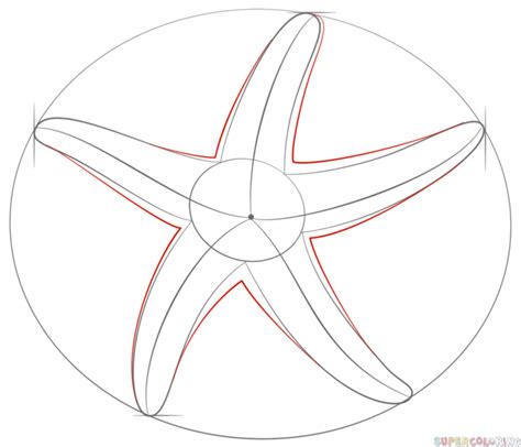 How to draw a starfish | Step by step Drawing tutorials | Starfish drawing, Starfish art ...